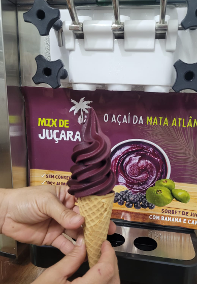 Mix de Juçara